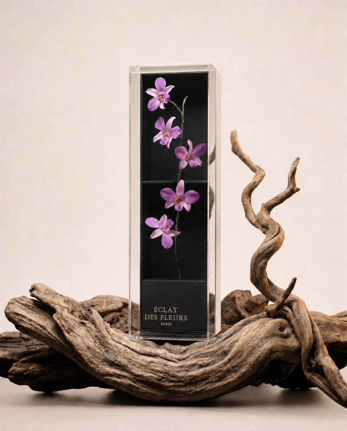 Denfare nel cofanetto acrilico Éclat des Fleurs